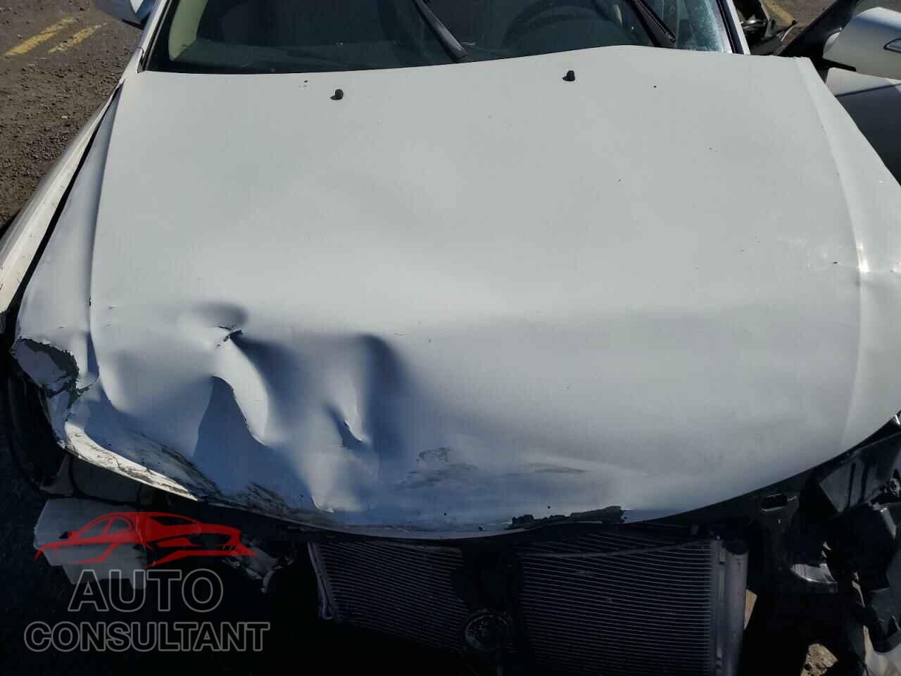 KIA OPTIMA 2010 - KNAGG4A8XA5379645