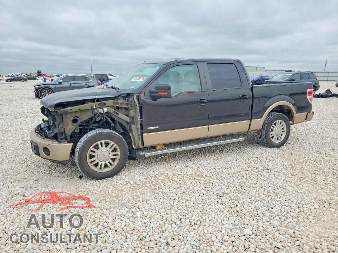 FORD F150 2013 - 1FTFW1CT8DFD25664
