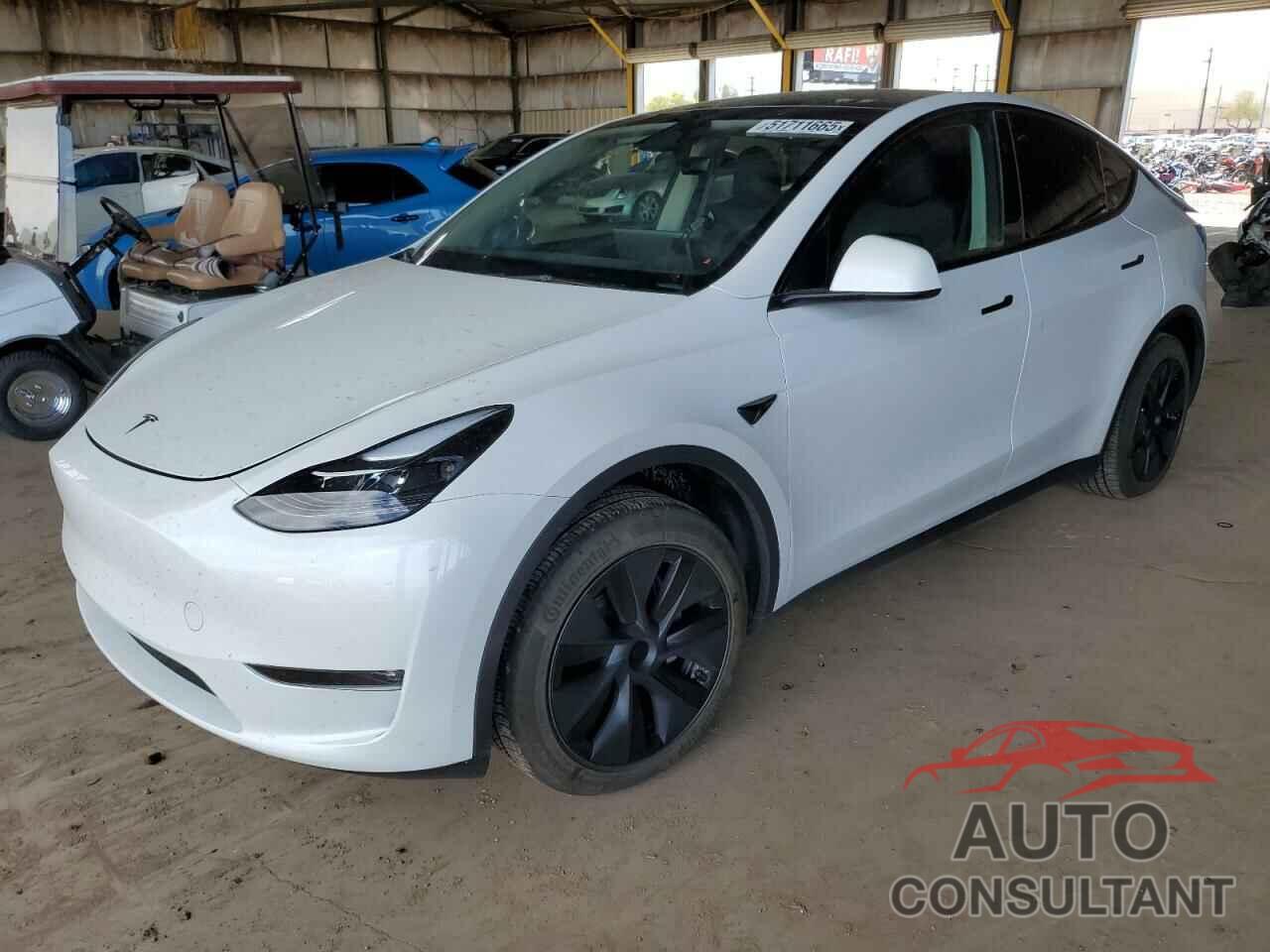 TESLA MODEL Y 2024 - 7SAYGDEE1RF165311