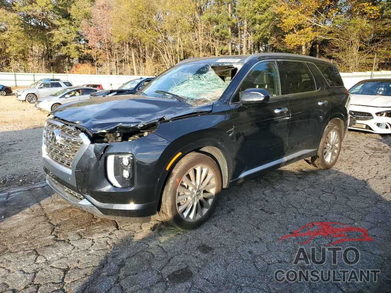 HYUNDAI PALISADE 2020 - KM8R5DHE1LU156072