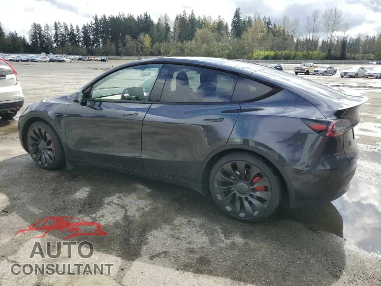 TESLA MODEL Y 2024 - 7SAYGDEF1RF073706