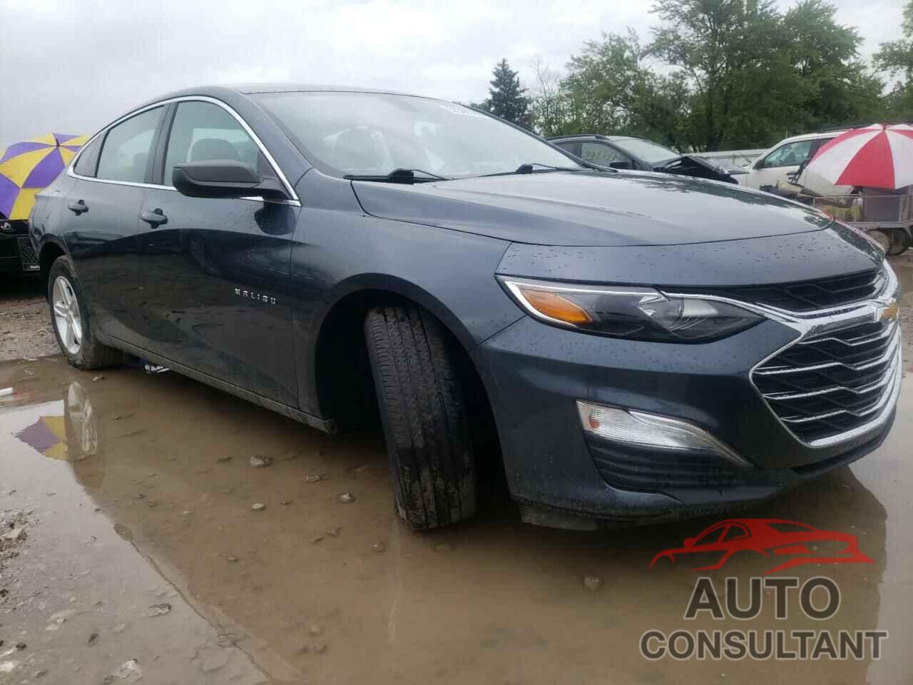 CHEVROLET MALIBU 2019 - 1G1ZB5ST3KF159609