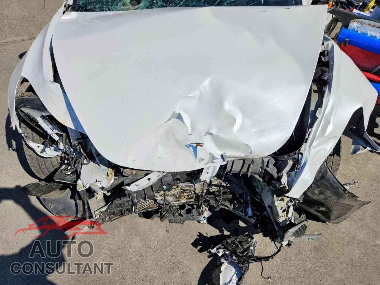 TESLA MODEL 3 2017 - 5YJ3E1EA3HF002134