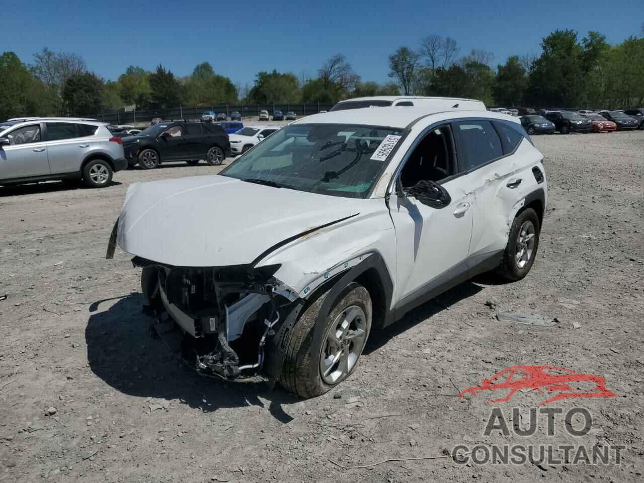 HYUNDAI TUCSON 2024 - 5NMJA3DE0RH437549