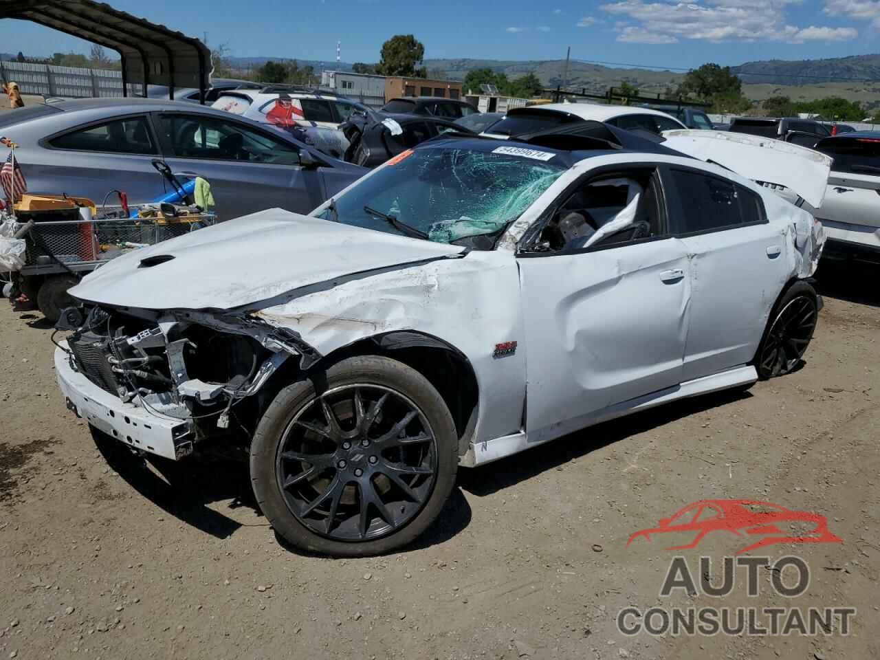 DODGE CHARGER 2019 - 2C3CDXGJ9KH519995