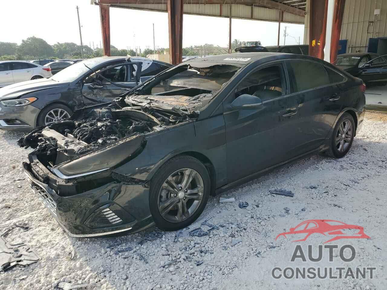 HYUNDAI SONATA 2018 - 5NPE34AF6JH657039