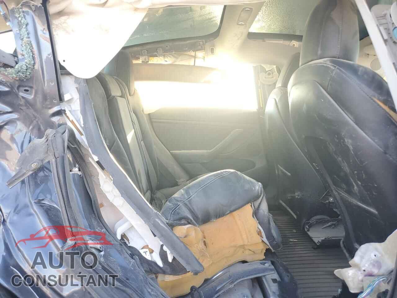 TESLA MODEL 3 2021 - 5YJ3E1EA8MF976413