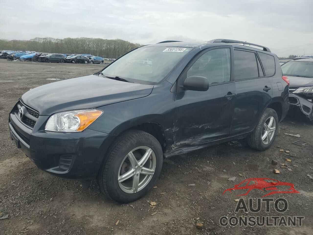 TOYOTA RAV4 2011 - 2T3BF4DV7BW165496