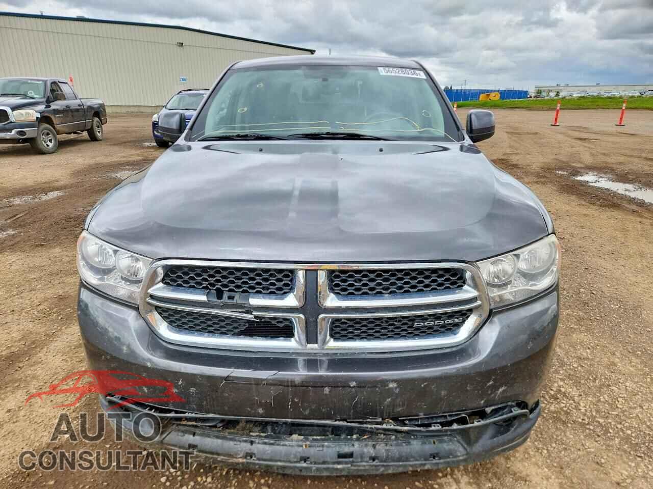 DODGE DURANGO 2011 - 1D4RE2GG3BC717181