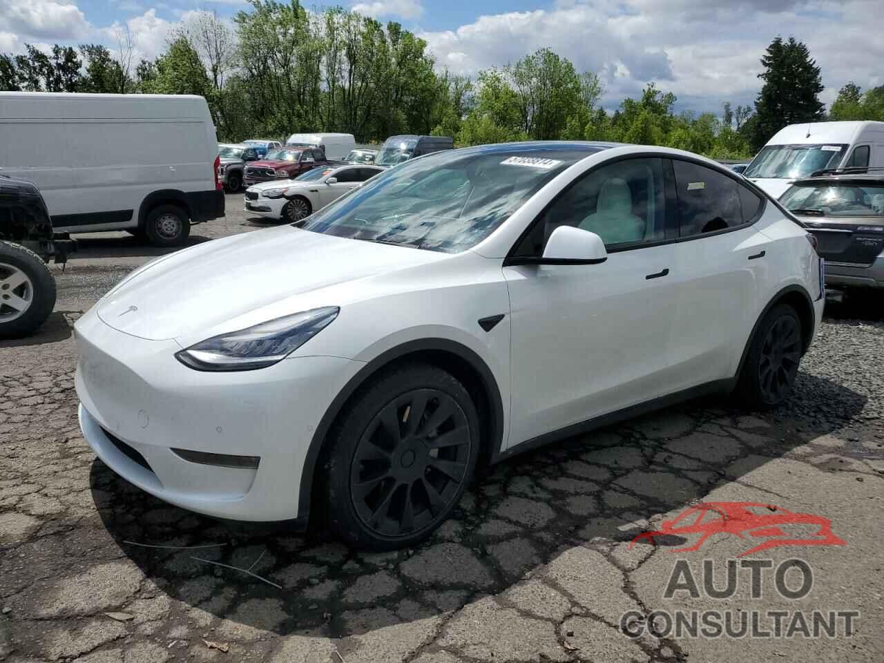 TESLA MODEL Y 2021 - 5YJYGDEE8MF085042