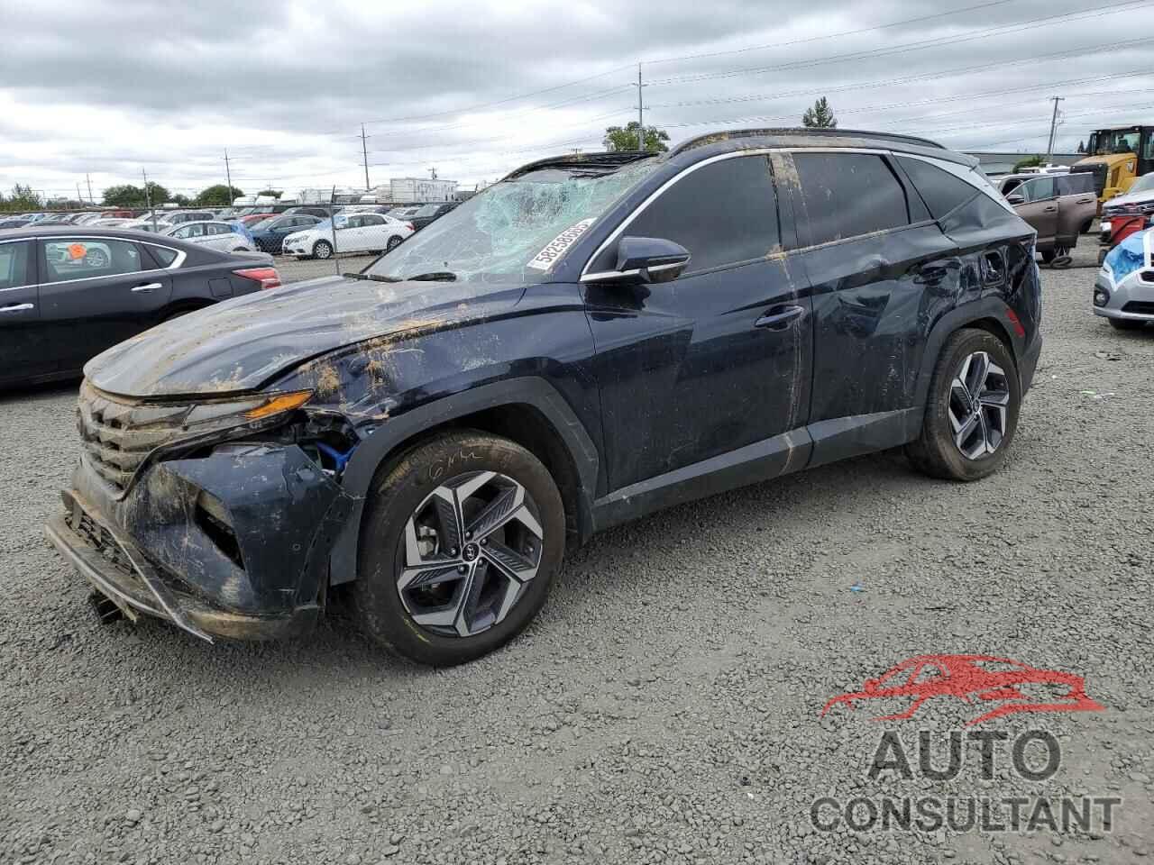 HYUNDAI TUCSON 2024 - KM8JFDD2XRU163620