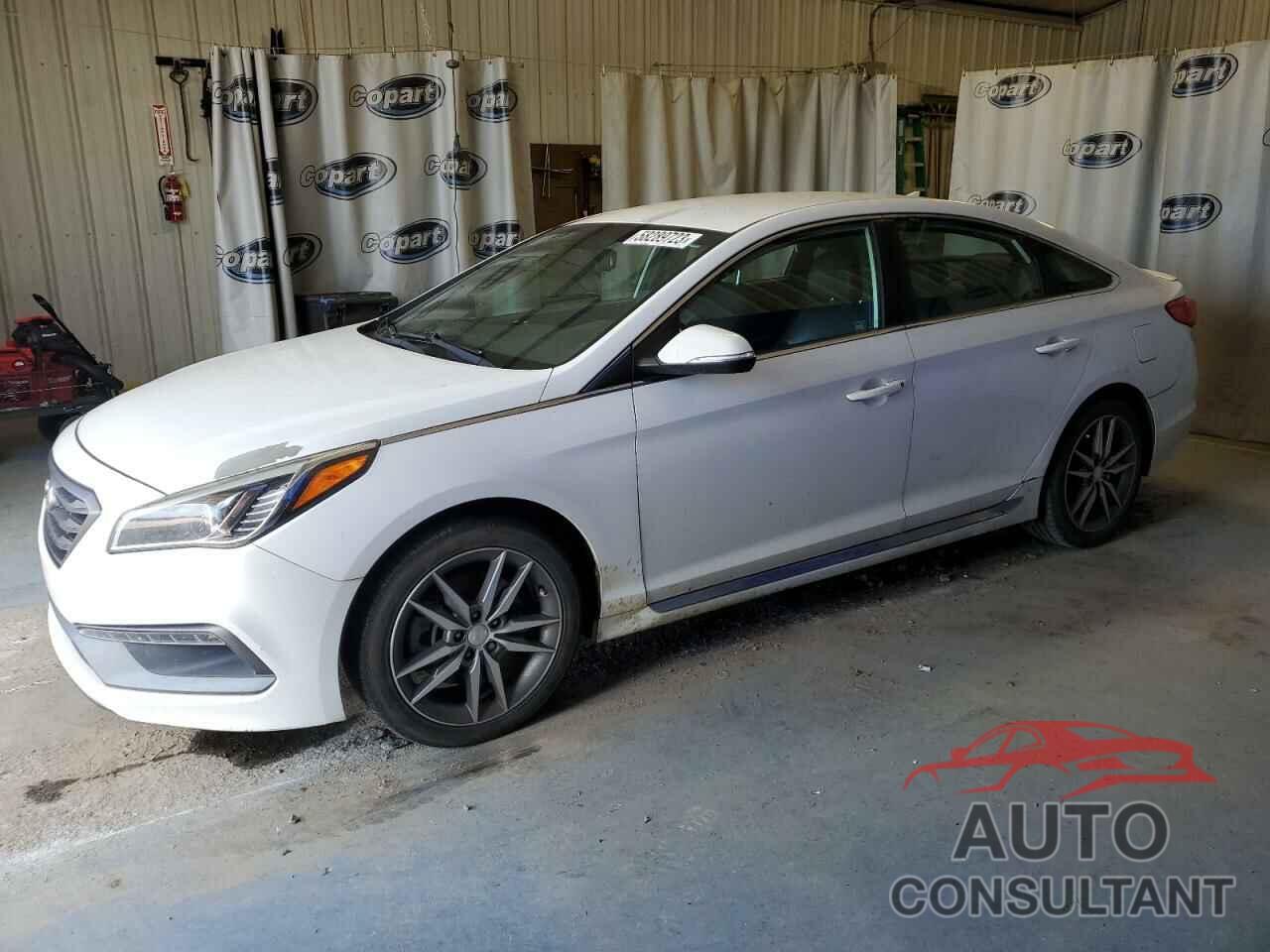 HYUNDAI SONATA 2017 - 5NPE34AB4HH446736