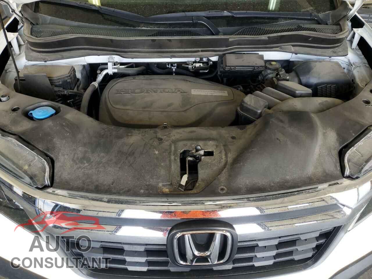 HONDA RIDGELINE 2019 - 5FPYK3F52KB035040