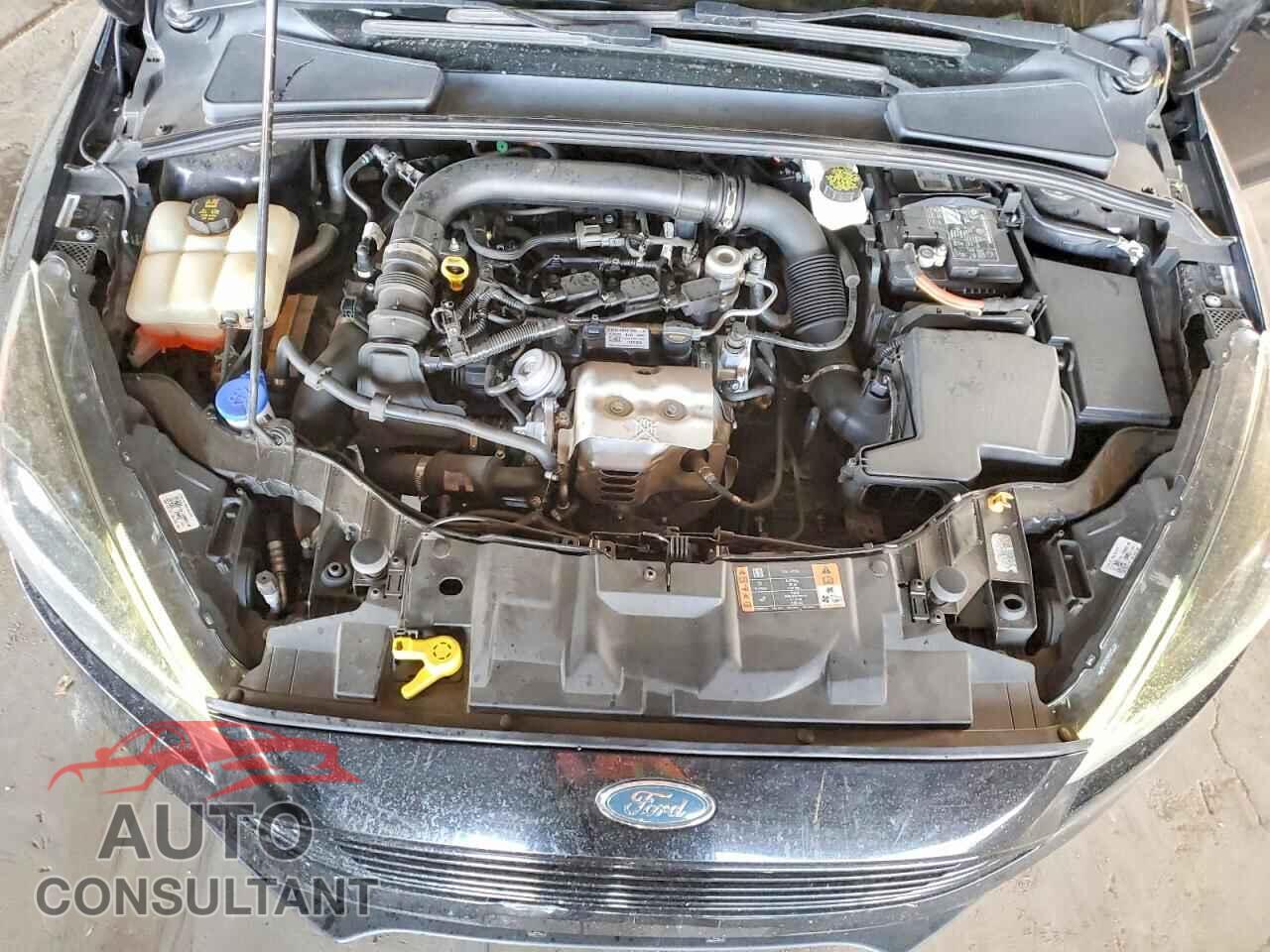 FORD FOCUS 2017 - 1FADP3FEXHL325367