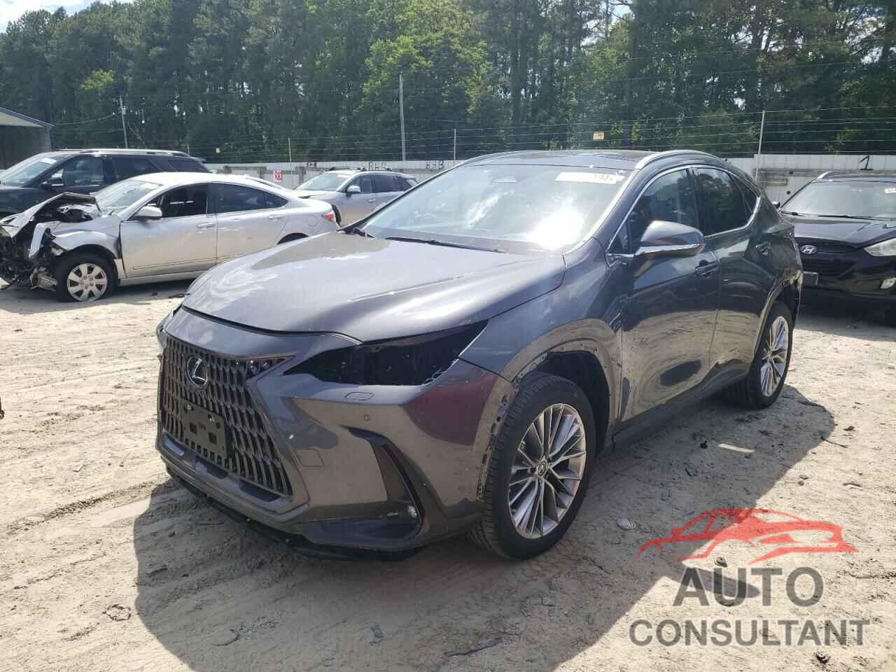 LEXUS NX 350 2022 - 2T2HGCEZ1NC009533