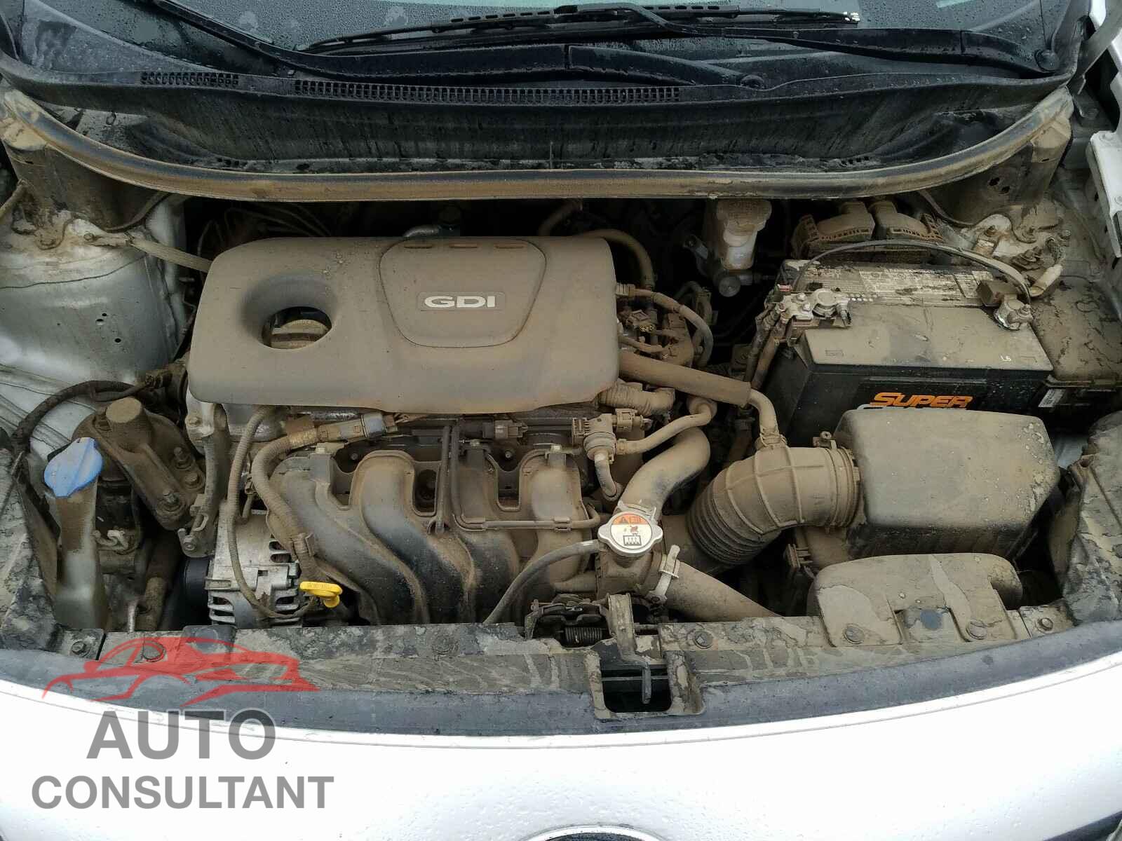 KIA RIO 2017 - KNADM4A30H6021524