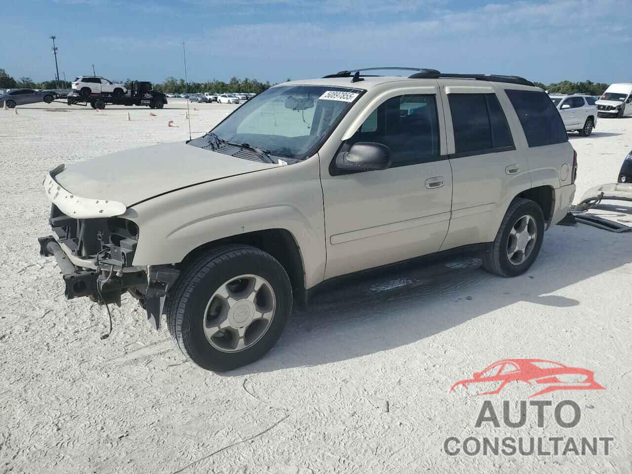 CHEVROLET TRAILBLZR 2009 - 1GNDS33S592129225