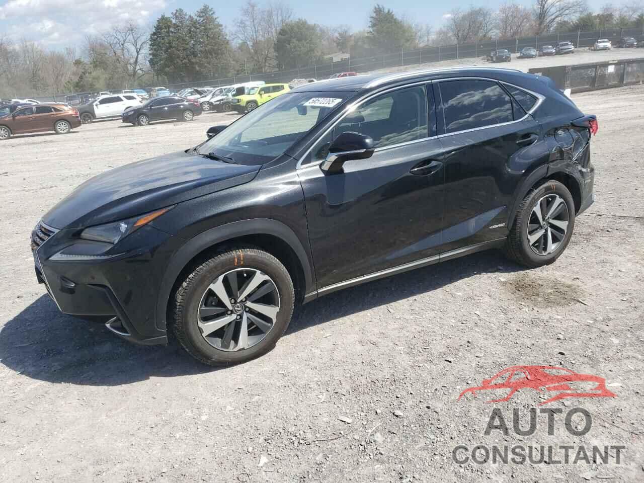 LEXUS NX 2018 - JTJBJRBZ0J2086354