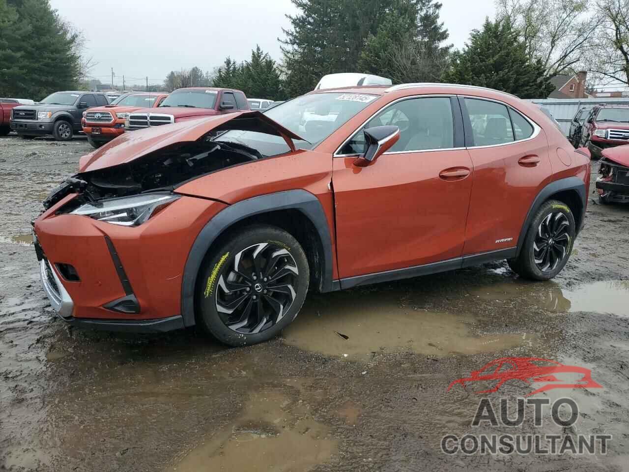 LEXUS UX 250H 2020 - JTHP9JBHXL2020762