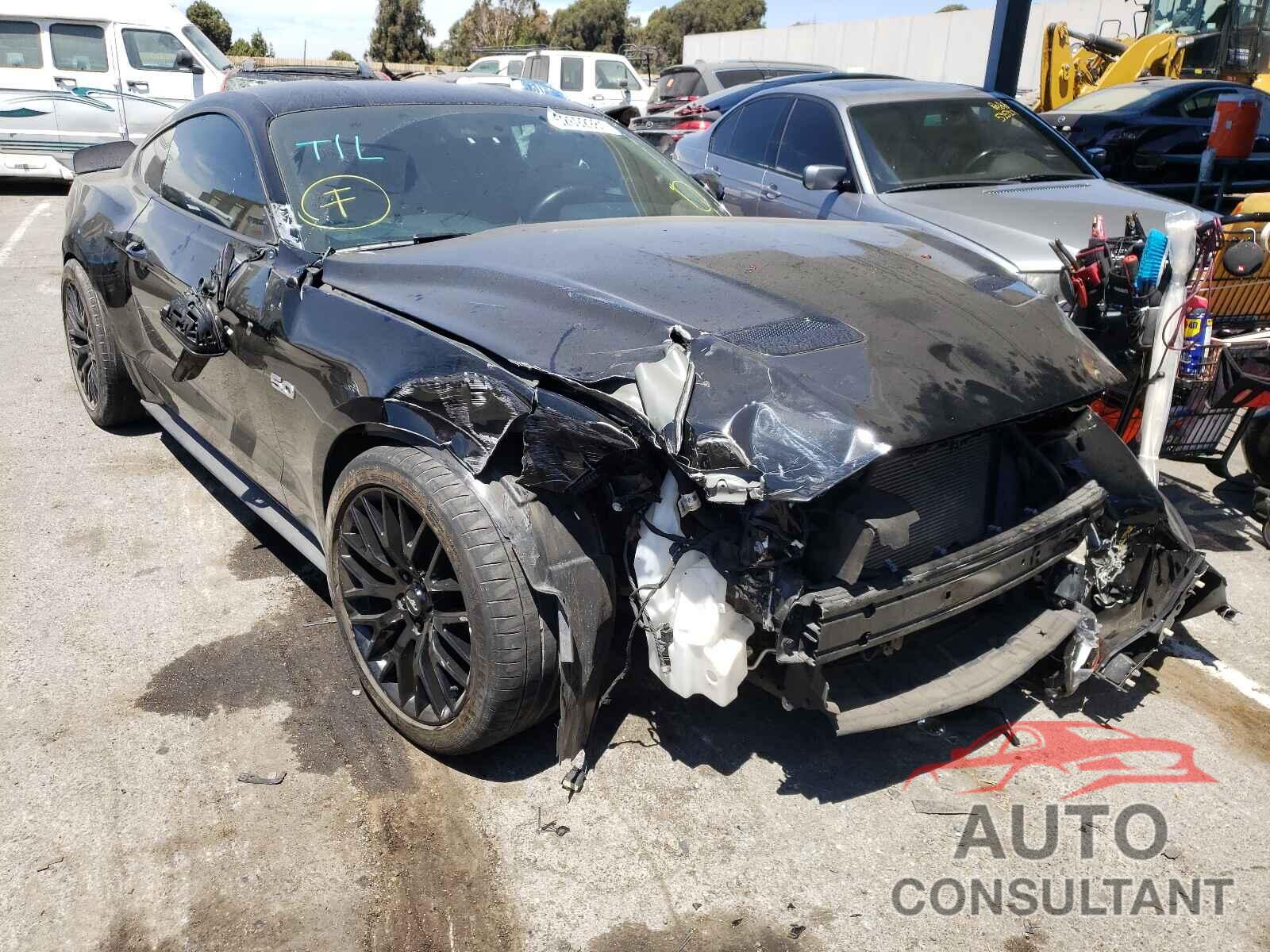 FORD MUSTANG 2019 - 1FA6P8CF8K5119205