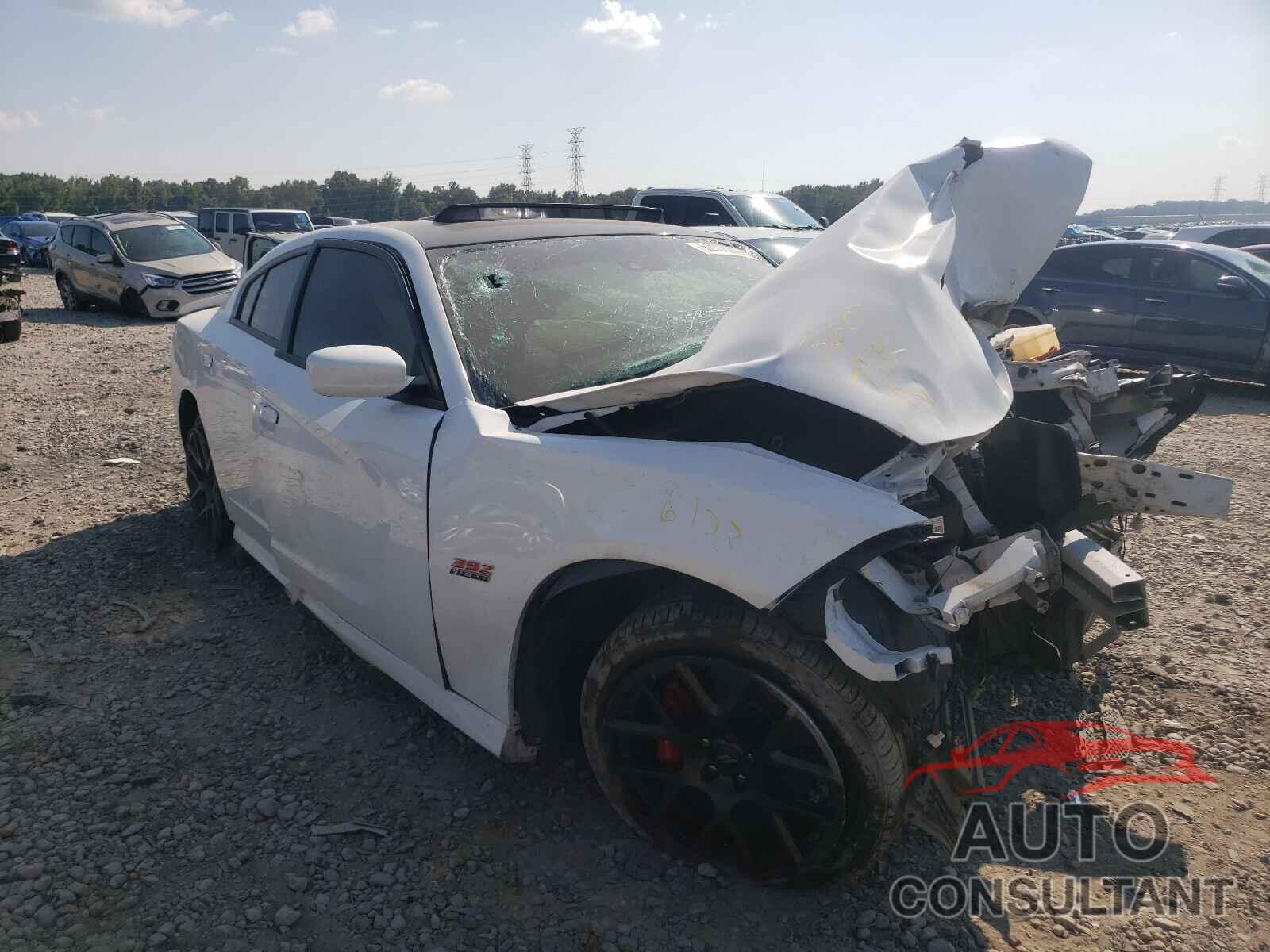 DODGE CHARGER 2018 - 2C3CDXGJ4JH120961