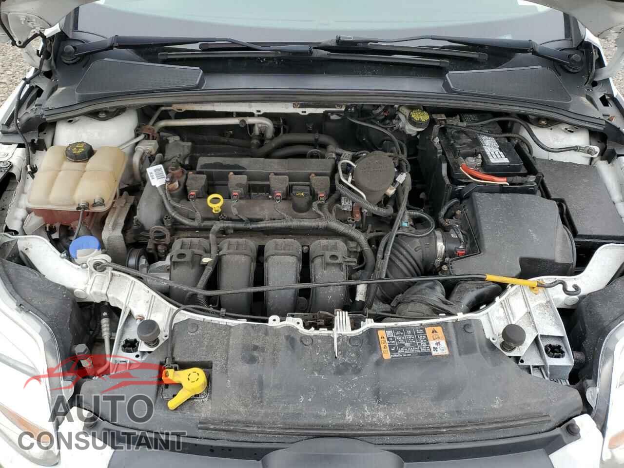 FORD FOCUS 2014 - 1FADP3F2XEL434882