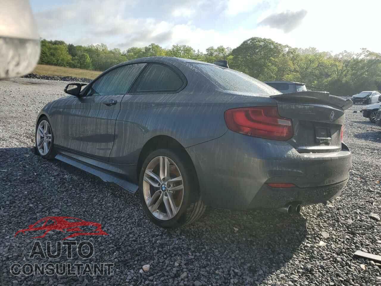BMW 2 SERIES 2014 - WBA1F5C55EVW98149