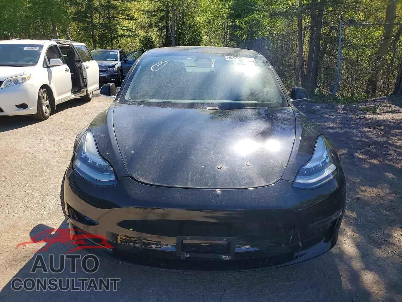 TESLA MODEL 3 2019 - 5YJ3E1EA2KF311018