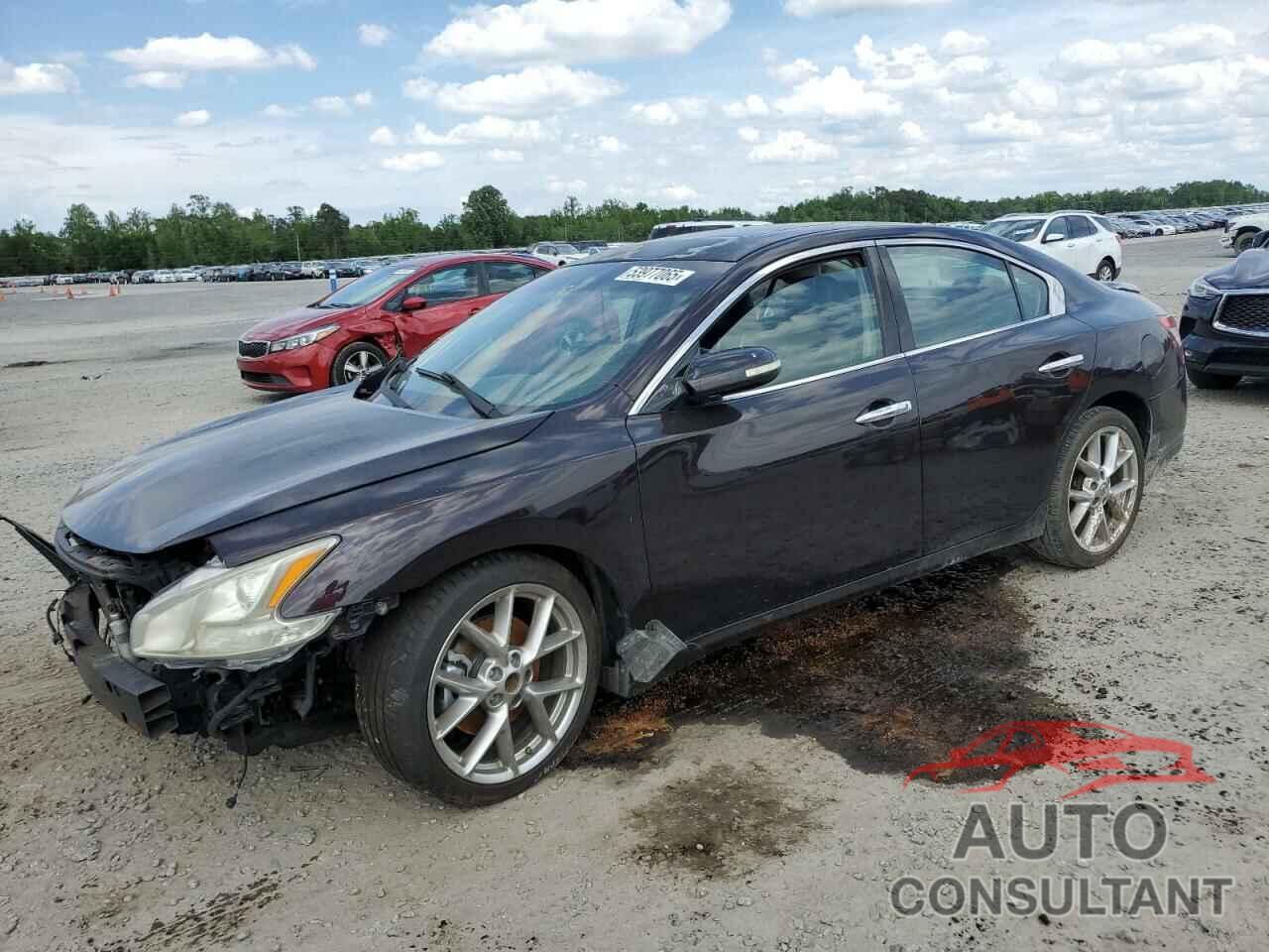 NISSAN MAXIMA 2010 - 1N4AA5AP9AC816771