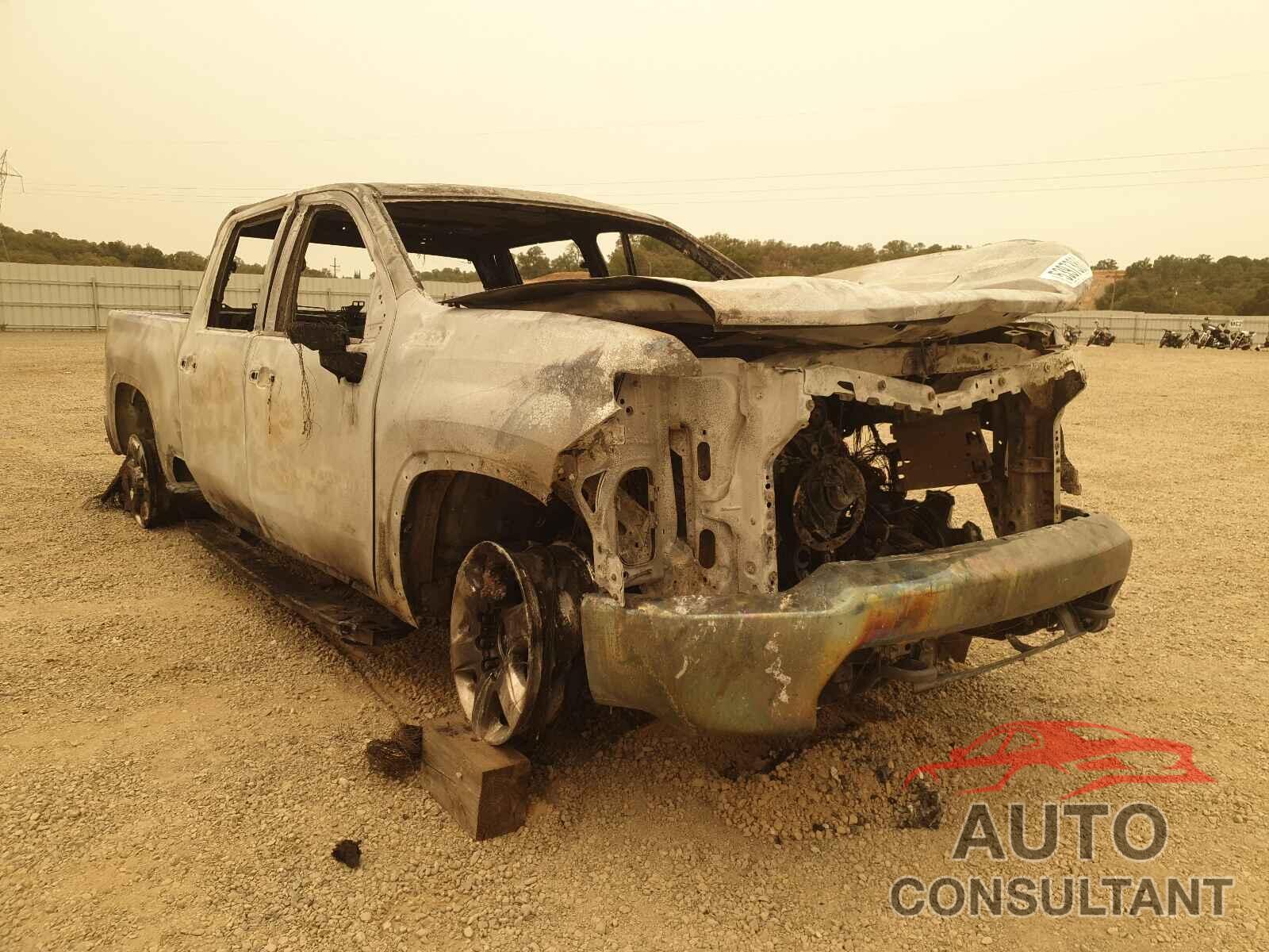 CHEVROLET SILVERADO 2021 - 1GC4YPEY6MF303725