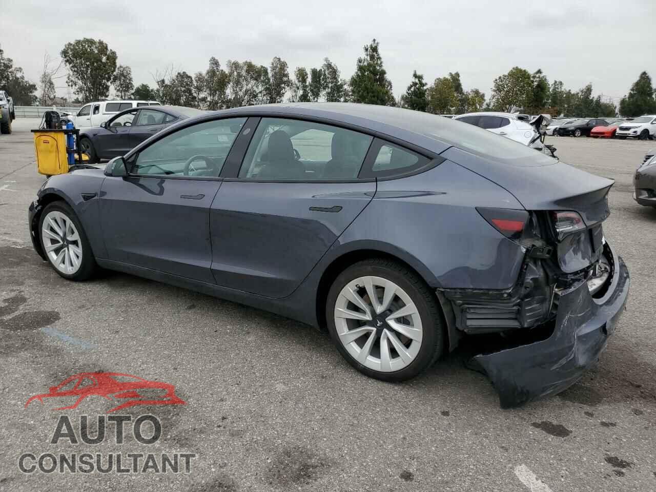 TESLA MODEL 3 2022 - 5YJ3E1EB7NF131613