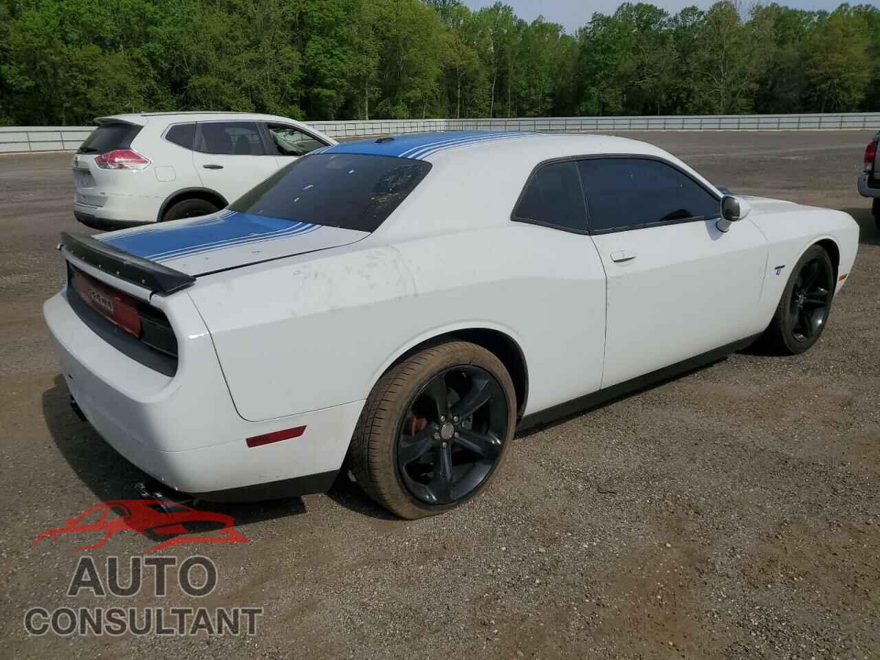 DODGE CHALLENGER 2014 - 2C3CDYBT4EH307282