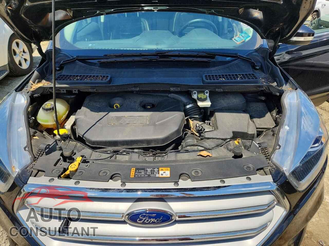 FORD ESCAPE 2019 - 1FMCU9J96KUC18910