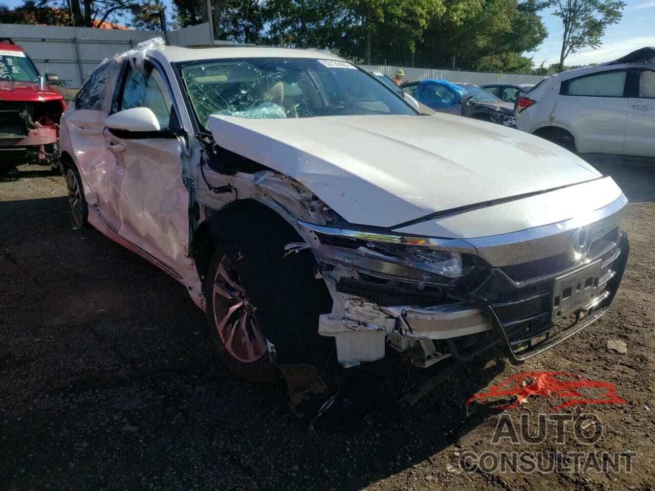 HONDA ACCORD 2019 - 1HGCV3F53KA016310