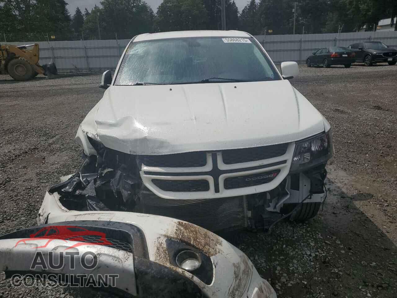 DODGE JOURNEY 2019 - 3C4PDDEG3KT746030