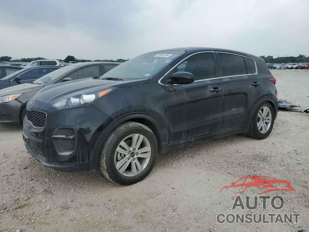 KIA SPORTAGE 2017 - KNDPM3AC0H7174635