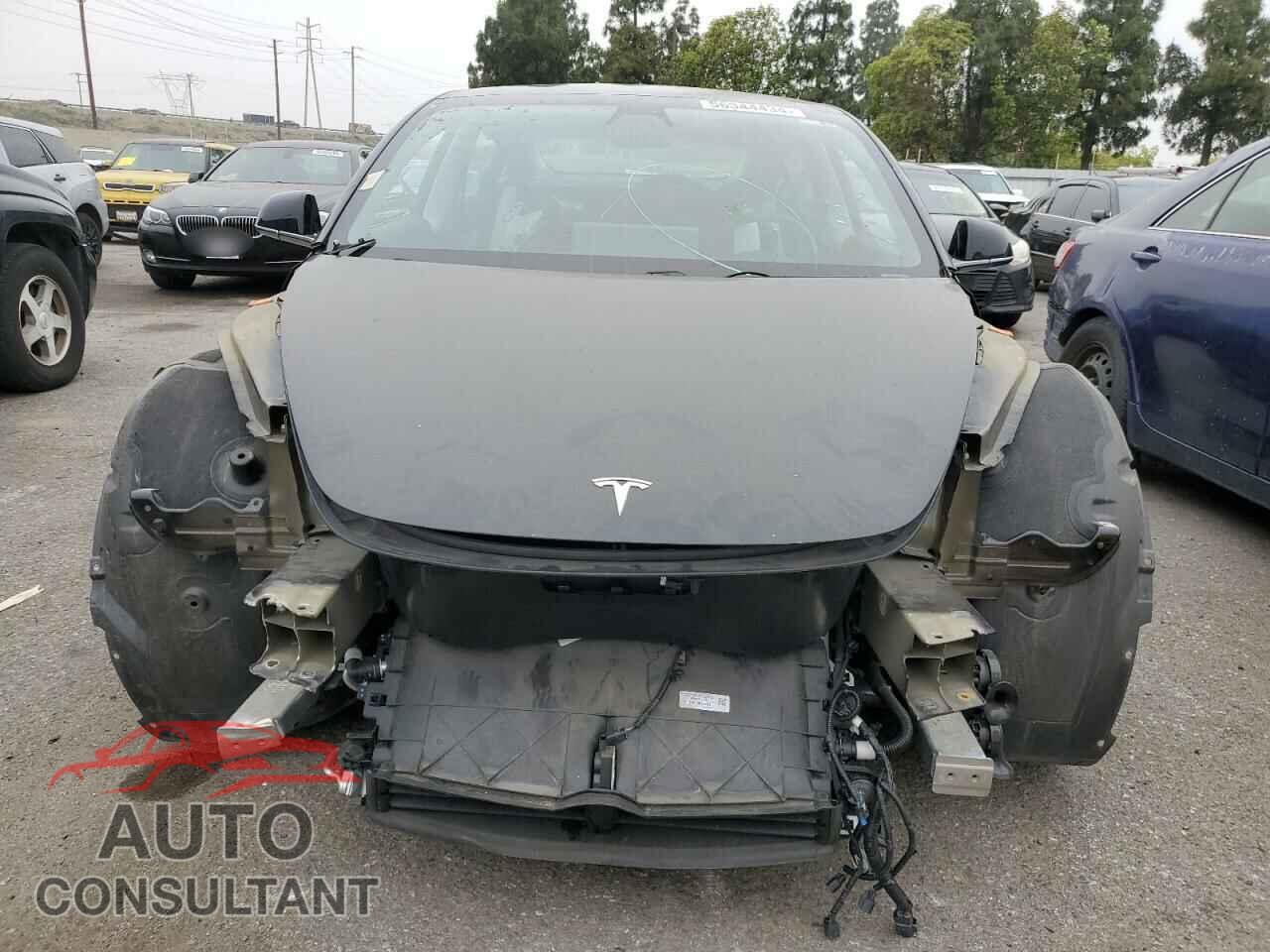 TESLA MODEL 3 2019 - 5YJ3E1EB2KF450638