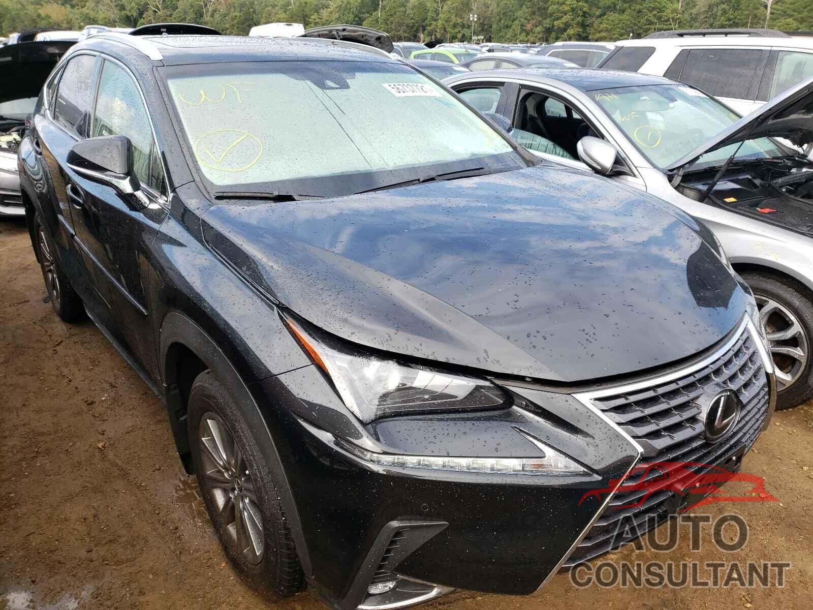 LEXUS NX 2019 - JTJBARBZ1K2205952