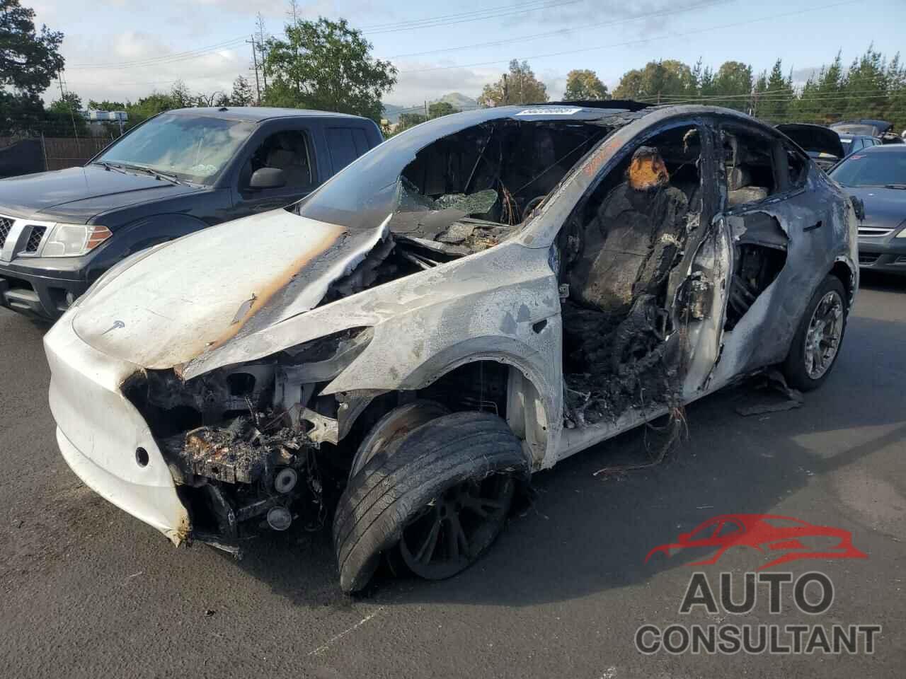 TESLA MODEL Y 2024 - 7SAYGDEE1RF025842