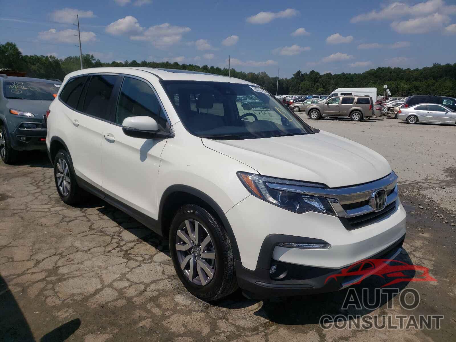 HONDA PILOT 2019 - 5FNYF6H57KB005642