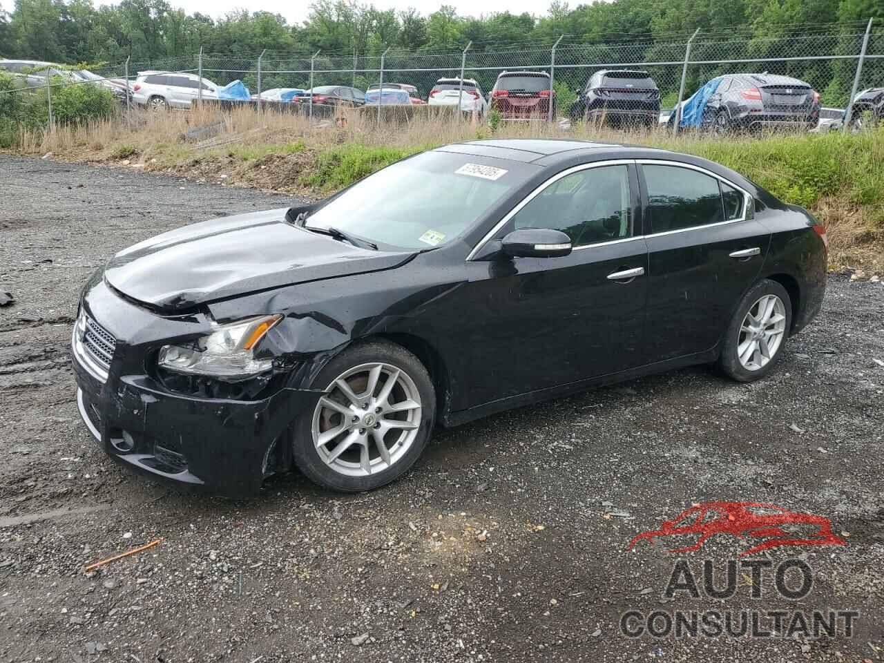 NISSAN MAXIMA 2010 - 1N4AA5AP1AC850963