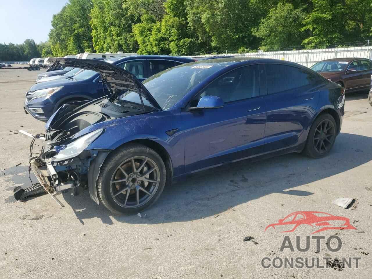 TESLA MODEL 3 2023 - 5YJ3E1EA3PF436083