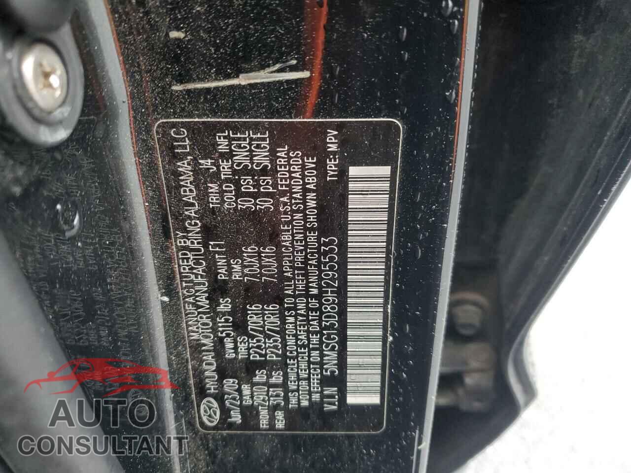 HYUNDAI SANTA FE 2009 - 5NMSG13D89H295533