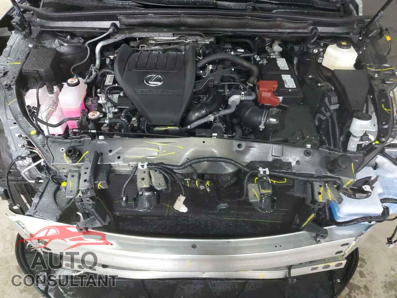 LEXUS RX350 2025 - 2T2BAMCA0SC089705