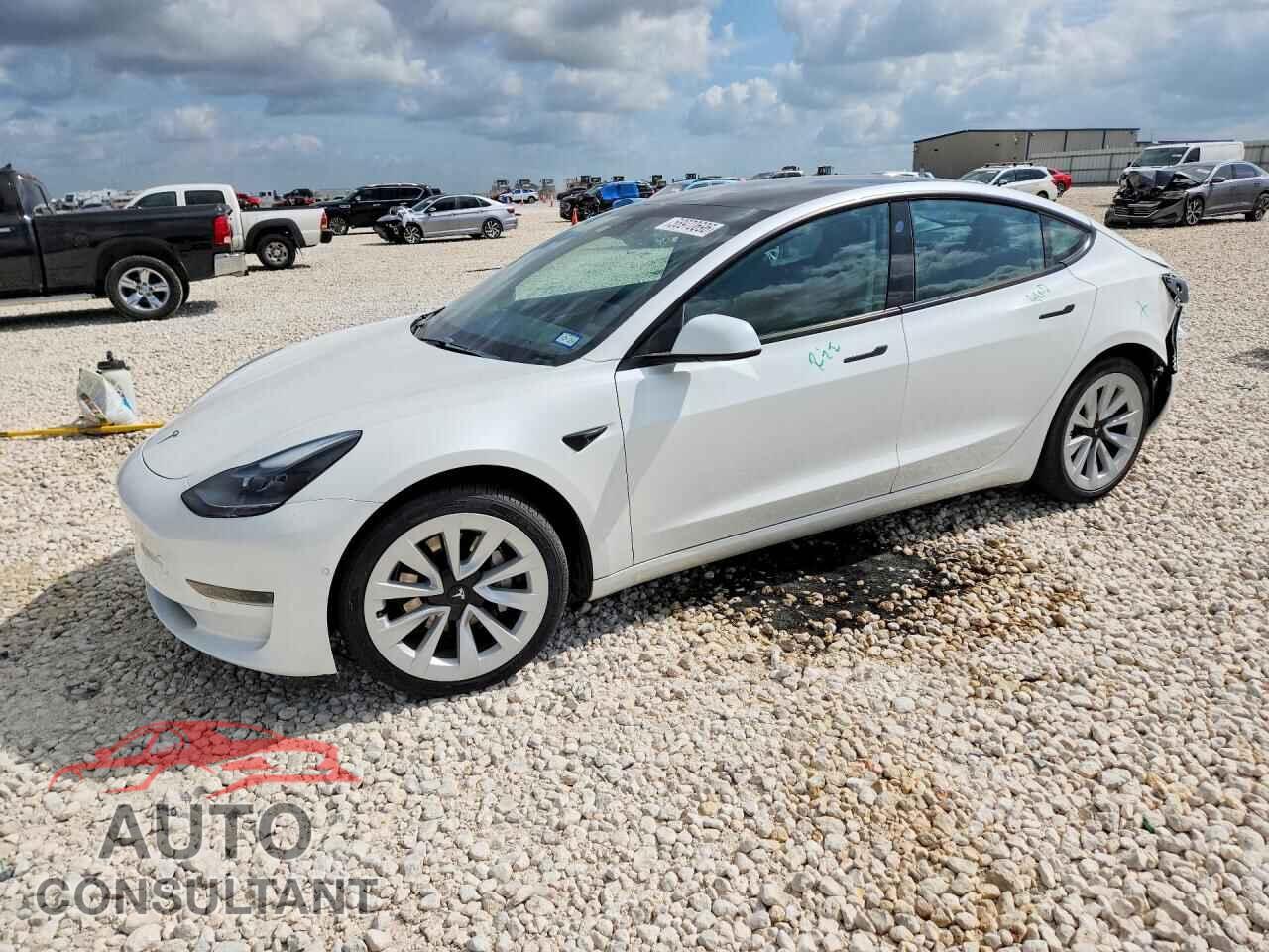 TESLA MODEL 3 2021 - 5YJ3E1EA7MF069636