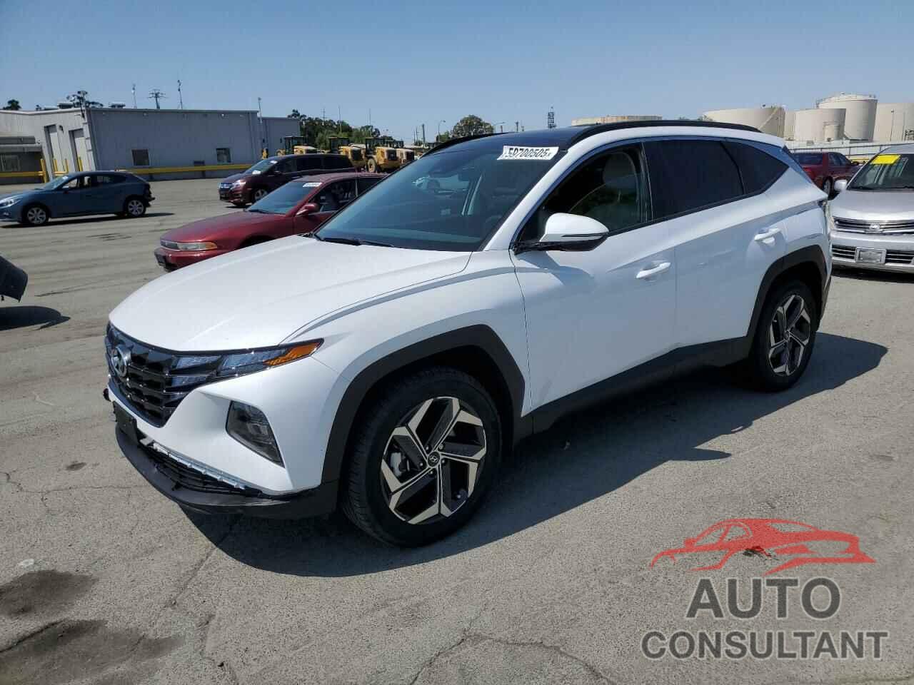 HYUNDAI TUCSON 2024 - KM8JCCD13RU199112
