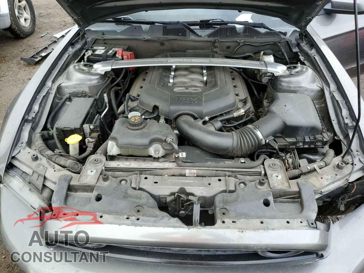 FORD MUSTANG 2013 - 1ZVBP8CF2D5284482