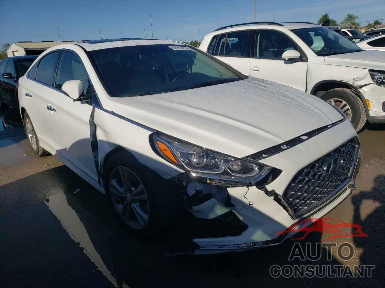 HYUNDAI SONATA 2019 - 5NPE34AF0KH791708