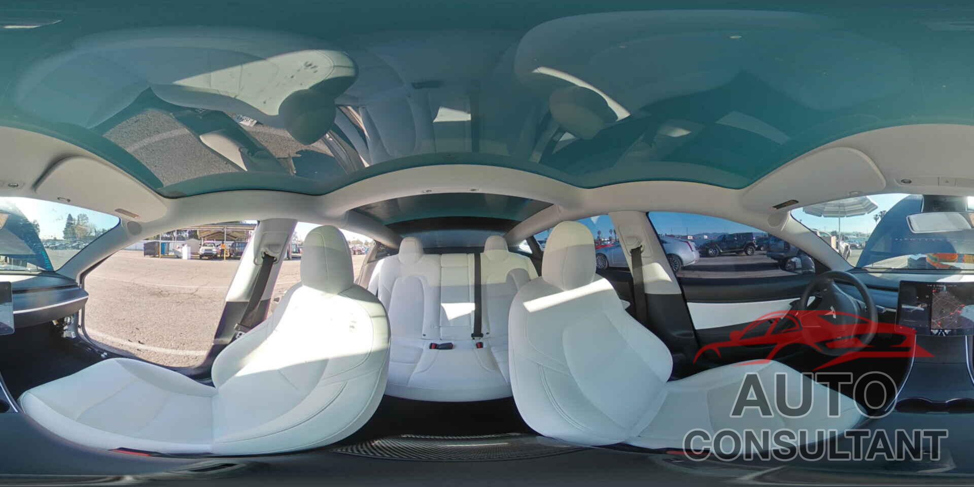 TESLA MODEL 3 2020 - 5YJ3E1EA5LF804810