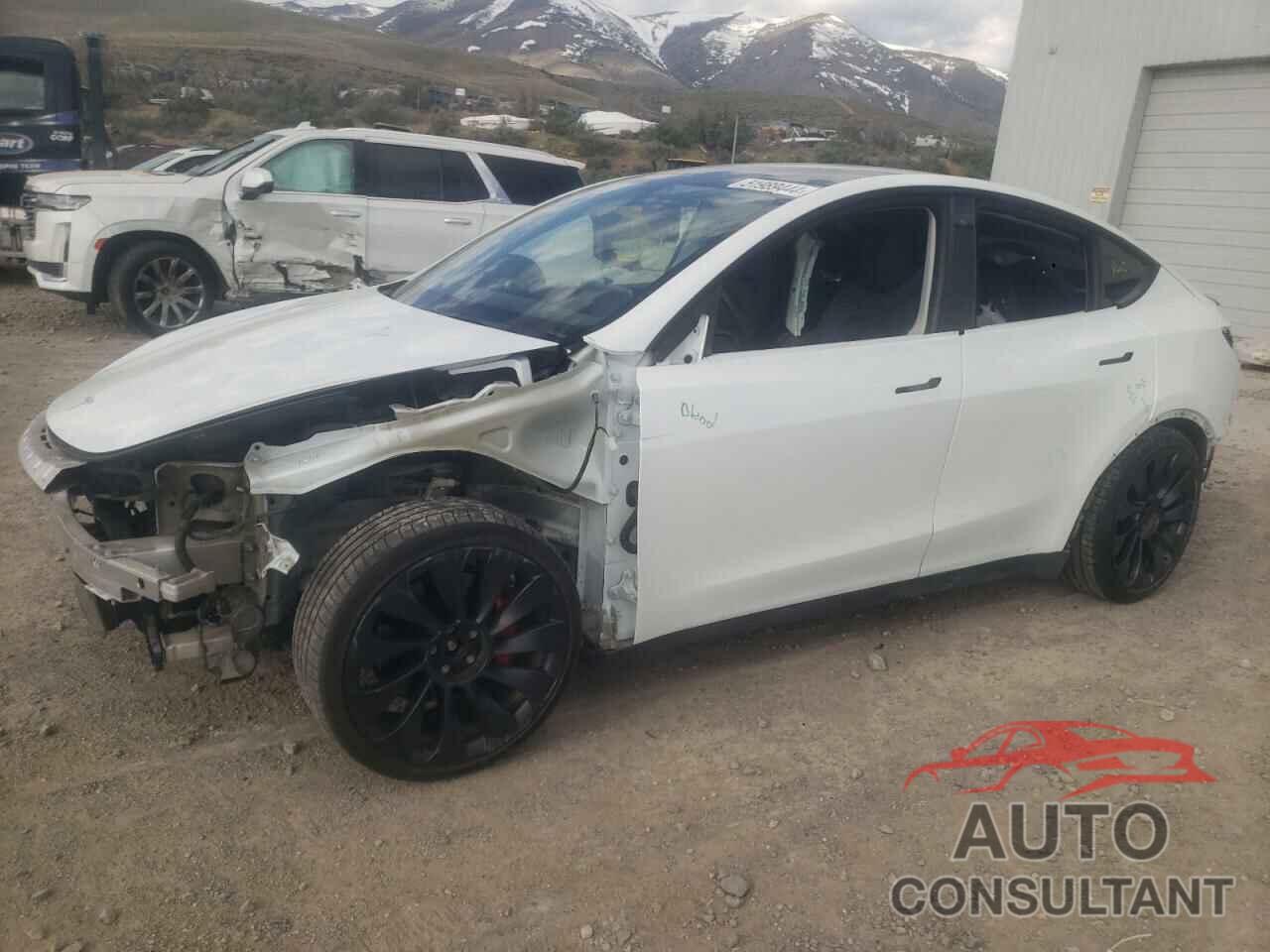 TESLA MODEL Y 2022 - 7SAYGDEF6NF343071